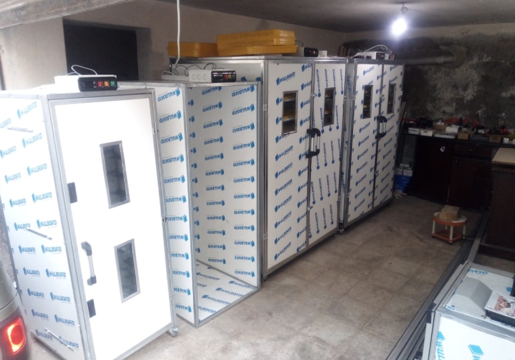 Gaziantep Kuluçka Makinesi Fiyatları