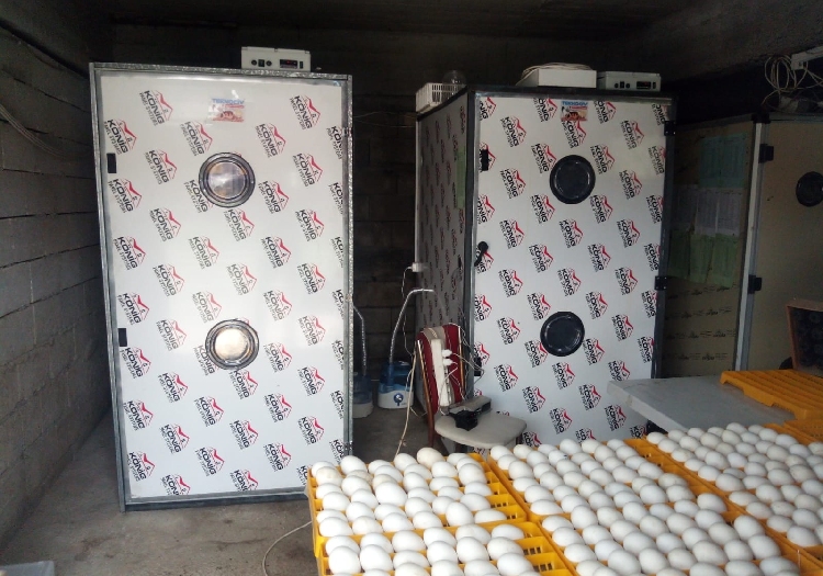 Gaziantep Kuluçka Makinesi Parçaları